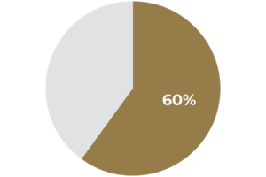 60 percent pie chart