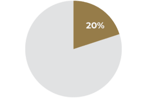 20 percent pie chart