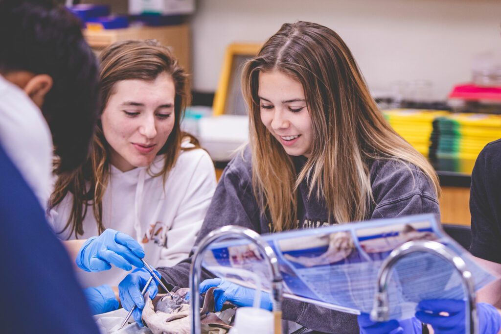 Biology students working on a lab